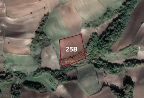 Farmland for sale in Tekirdağ province, specifically in Süleymanpaşa | L258