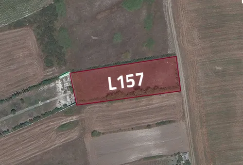 L157 Arnavtkoy Land