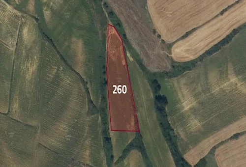 Agricultural land for sale in Tekirdağ province, specifically in Malkara | L260