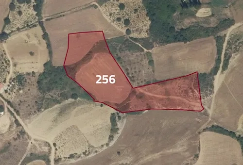 Farmland for sale in Tekirdağ province, specifically in Süleymanpaşa | L256