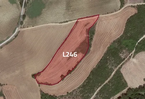 Farmland for sale in Tekirdağ province, specifically in Süleymanpaşa | L246