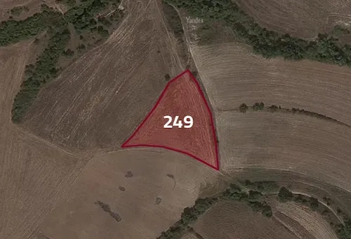 Agricultural land for sale in the Turkish province of Kırklareli, specifically in Babaeski | L249.