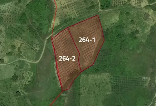 Agricultural land for sale, two adjacent plots in the Tekirdağ province, specifically in Şarköy | L264