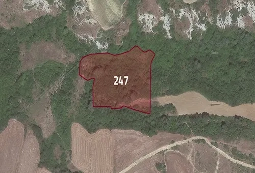 Farmland for sale in Tekirdağ province, specifically in Süleymanpaşa | L247