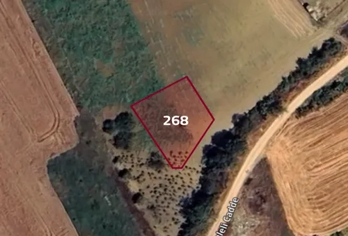 For sale: land ready for construction in Tekirdağ province, specifically in Süleymanpaşa | L268