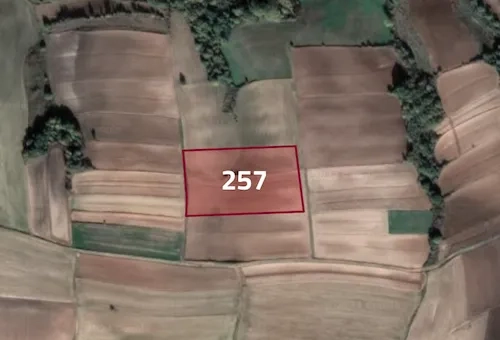 Farmland for sale in Tekirdağ province, specifically in Süleymanpaşa | L257