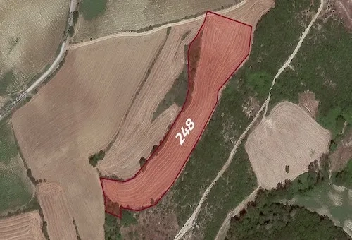 Farmland for sale in Tekirdağ province, specifically in Süleymanpaşa | L248