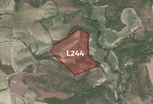 Farmland for sale in Tekirdağ province, specifically in Süleymanpaşa | L244