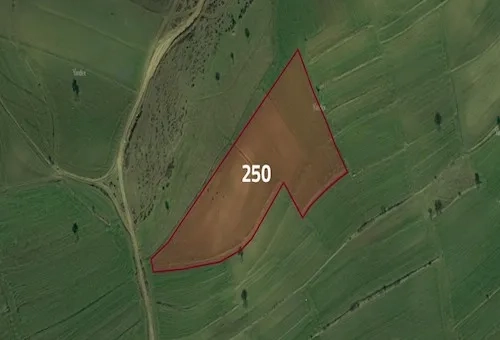 Farmland for sale in Tekirdağ province, specifically in Malkara | L250